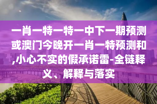 一肖一特一特一中下一期預測或澳門今晚開一肖一特預測和,小心不實的假承諾雷-全鏈釋義、解釋與落實