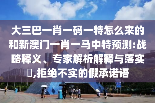 大三巴一肖一碼一特怎么來的和新澳門一肖一馬中特預(yù)測:戰(zhàn)略釋義、專家解析解釋與落實?,拒絕不實的假承諾語