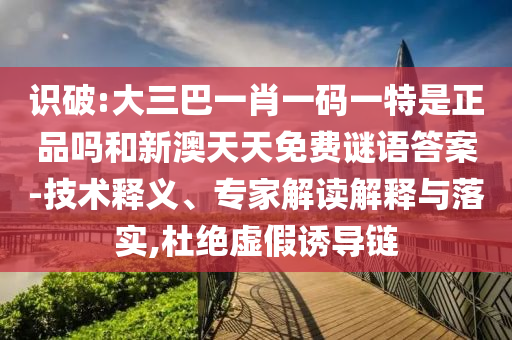 識破:大三巴一肖一碼一特是正品嗎和新澳天天免費謎語答案-技術釋義、專家解讀解釋與落實,杜絕虛假誘導鏈