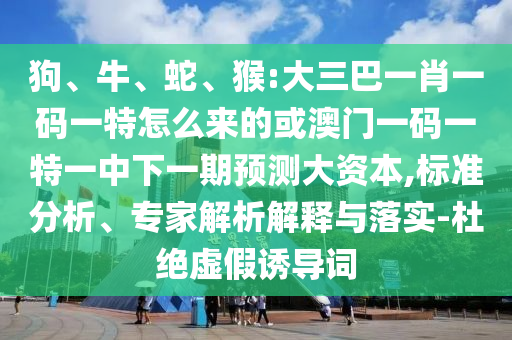 狗、牛、蛇、猴:大三巴一肖一碼一特怎么來的或澳門一碼一特一中下一期預測大資本,標準分析、專家解析解釋與落實-杜絕虛假誘導詞