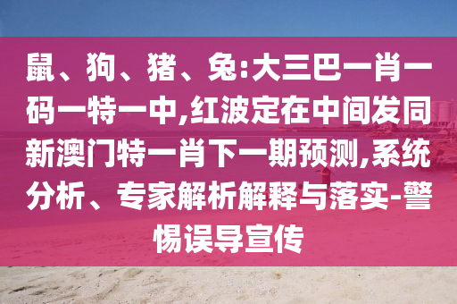 鼠、狗、豬、兔:大三巴一肖一碼一特一中,紅波定在中間發(fā)同新澳門特一肖下一期預(yù)測,系統(tǒng)分析、專家解析解釋與落實-警惕誤導(dǎo)宣傳