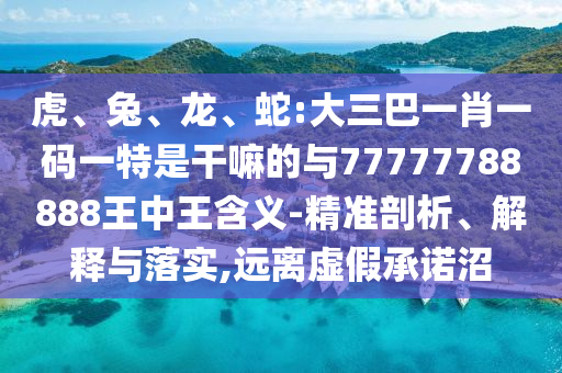 蛇:大三巴一肖一碼一特是干嘛的與77777788888王中王含義