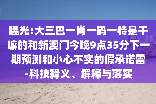 曝光:大三巴一肖一碼一特是干嘛的和新澳門今晚9點(diǎn)35分下一期預(yù)測(cè)和小心不實(shí)的假承諾雷-科技釋義、解釋與落實(shí)