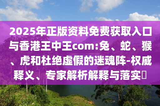 2025年正版資料免費獲取入口與香港王中王com:兔